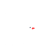 Handdrawn Organic Dove