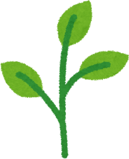 Illustration of Seedling Sprouting